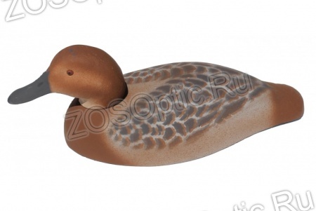 Чучело Красноголовый Нырок Утка полистирол