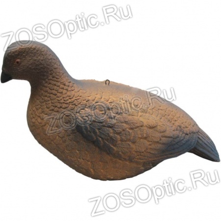 Чучело Тетерка полистирол