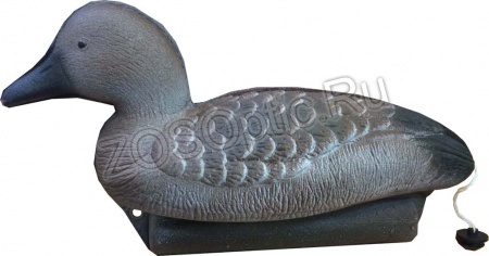 Чучело "Красноголовый Нырок Утка" сминаемое