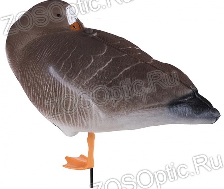 Чучело "Гусь Белолобый Спящий" сминаемое