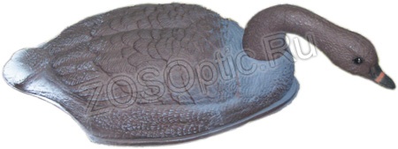 Чучело «Гусь Гуменник кормящийся» полукорпусной