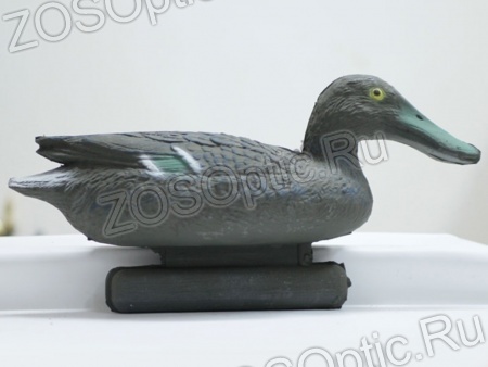 Чучело «Широконоска утка» пластмассовое